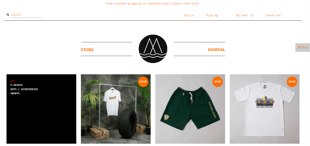 ecommerce site example