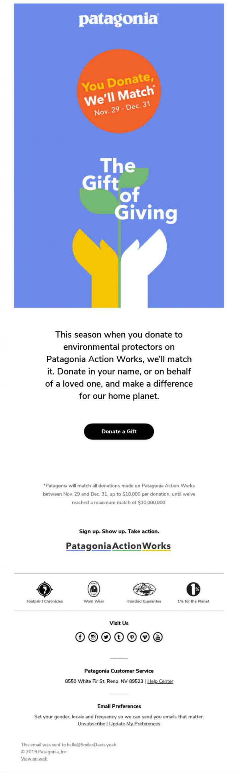 patagonia newsletter