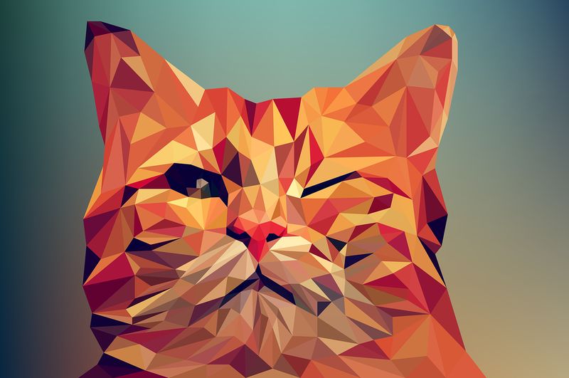 cat illustration